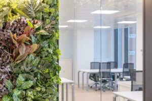 La naturaleza como parte de la decoración en las oficinas