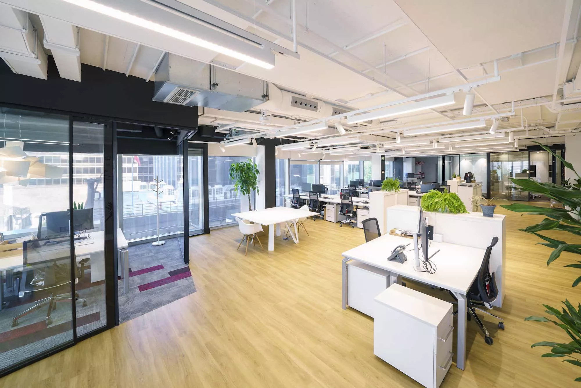 Personalización completa y distribución a medida