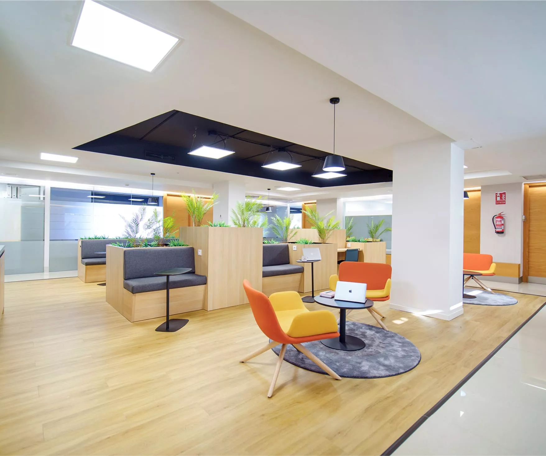 Coworking en La Moraleja