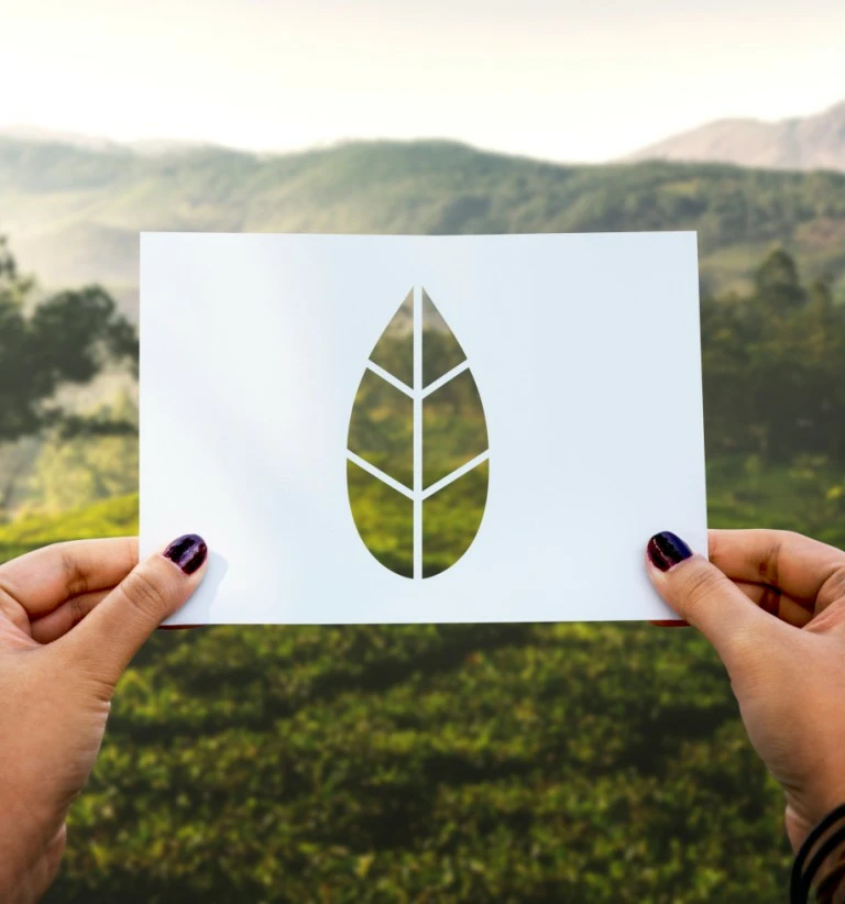 certificaciones esg cuáles son y por qué son importantes