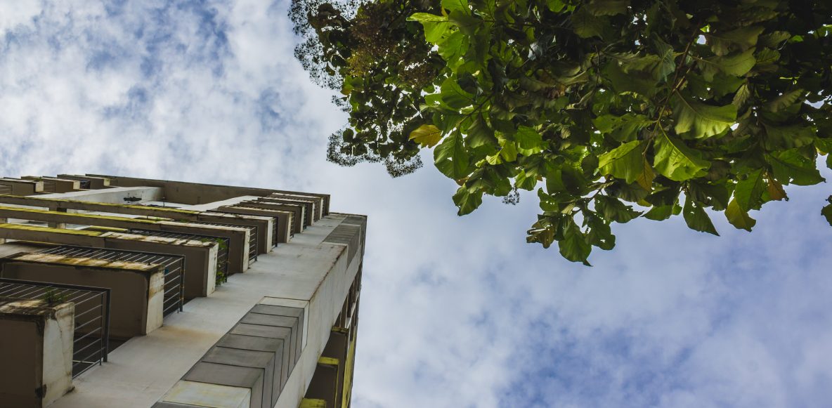 ESG Certifications: What Are They and Why Are They Important?