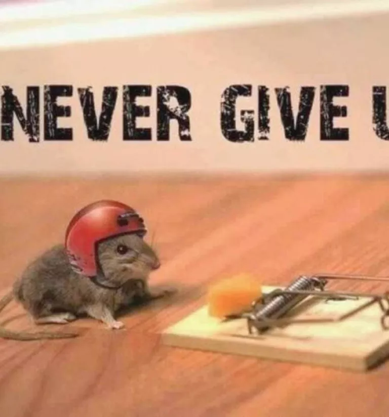 El fracàs com a nova estratègia d’aprenentatge: les FuckUp Nights