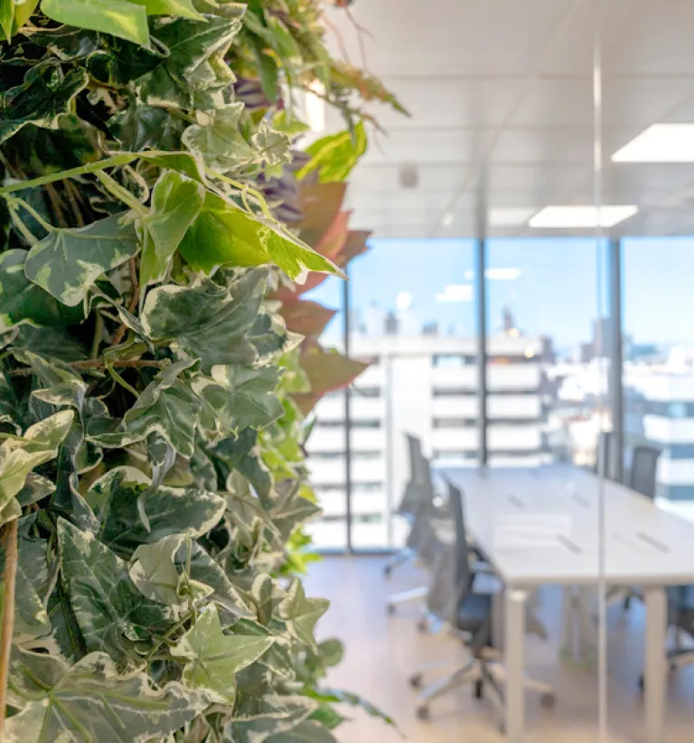 New ways of working after COVID-19: flexibility and adaptation