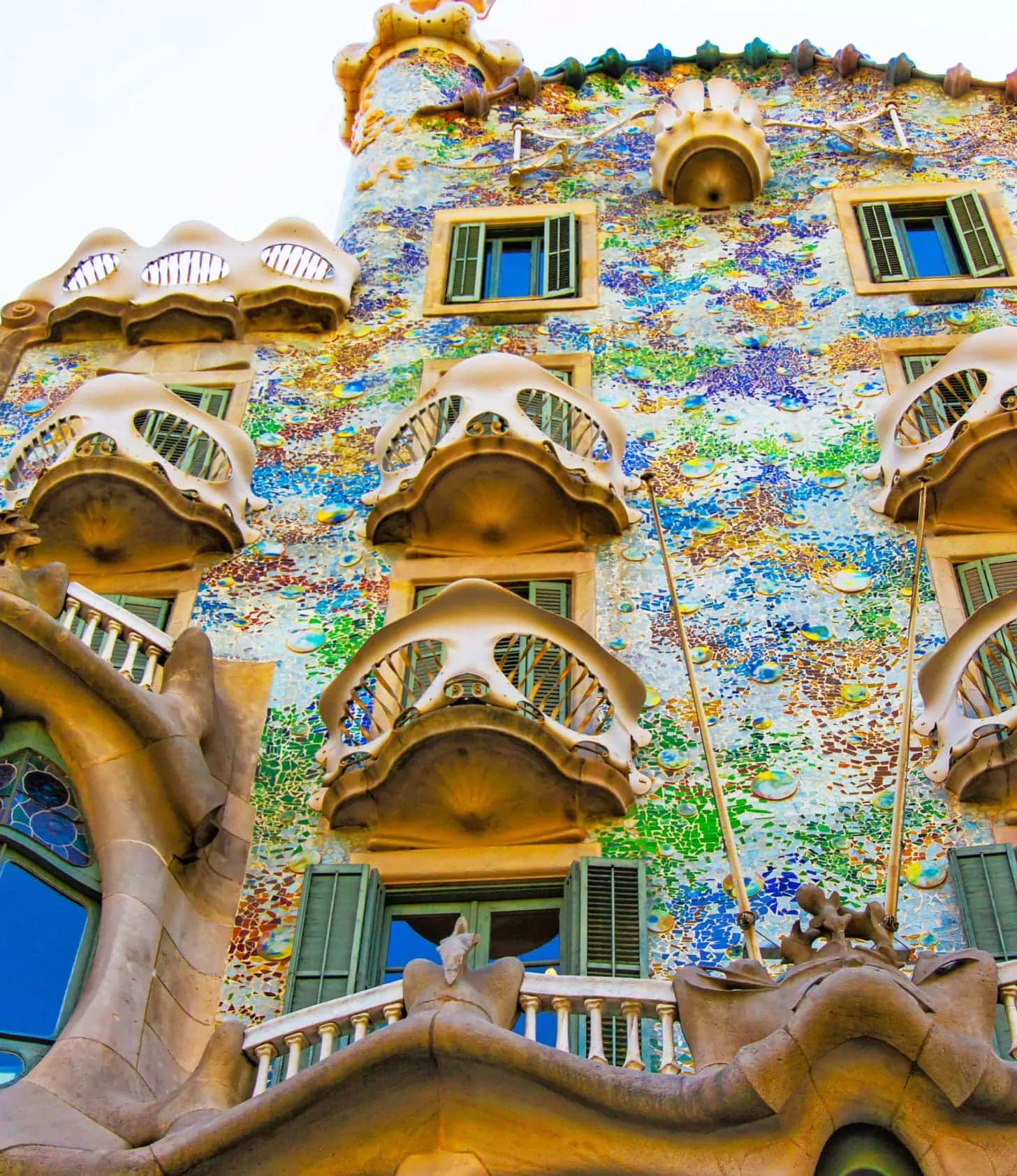 Cosmopolitan and dynamic